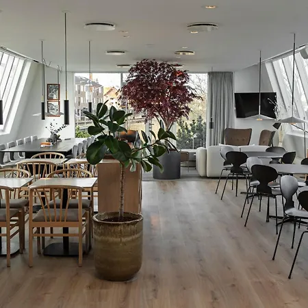 Four Points Flex By Sheraton Koge